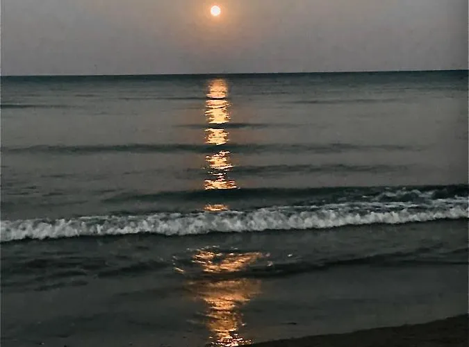 Bali 303 Apartmán Larnaca