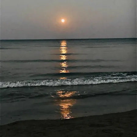 Bali 303 아파트 라르나카