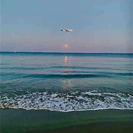Bali 303 لارنكا